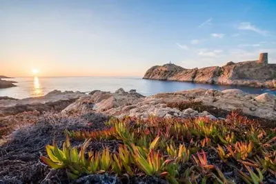 Autotour Sur la route : Corse - Arrivée Ajaccio