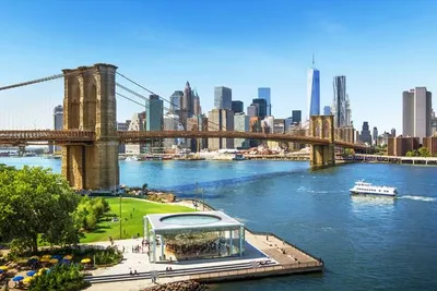 New York Hilton Midtown 4*