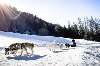 Séjour multi-activités au Club Coralia Laponie Ivalo 4*