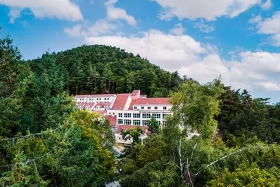 Hôtel Spa Husseren Collections 4*