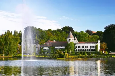 Hôtel Martin's Château du Lac 5*