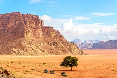 Circuit en groupe : Jordanie entre modernité et légendes