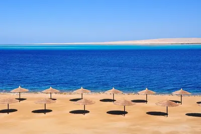 Séjour multi-activités : Découverte de la mer Rouge au Palma de Mirette 4*