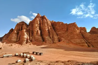 Circuit en groupe : Découvertes jordaniennes