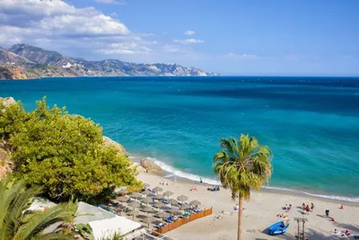 Hôtel Fenix Torremolinos 4*
