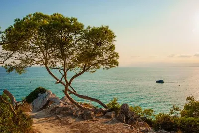 Blaumar Hotel Salou 4*