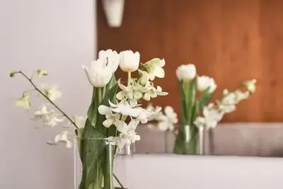 Hôtel Lato Boutique