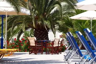 Hôtel Albatros Hotel