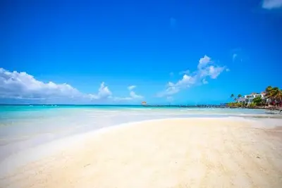 Hôtel Avalon Reef