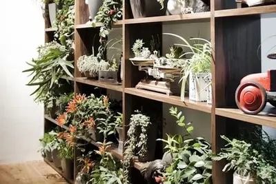 Hôtel Daniel Vienna