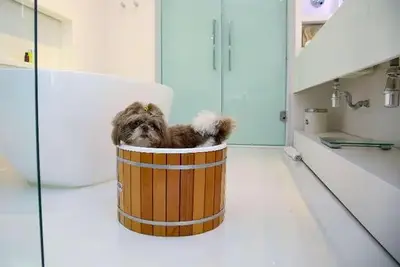 Hôtel Bossa Nova Ipanema