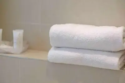 Hôtel Best Western Major