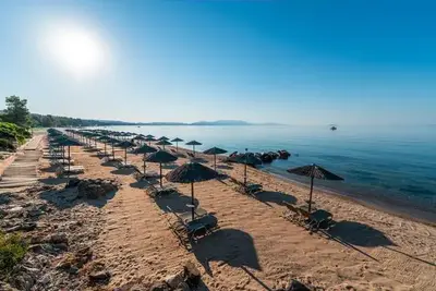 Hôtel Blue Dolphin