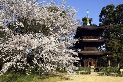 Hôtel Chinzanso Tokyo
