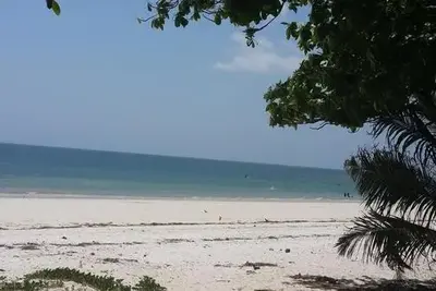 Hôtel Cocoa Luxury Resort