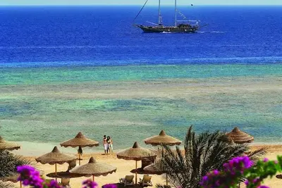 Hôtel Baron Resort Sharm El Sheikh