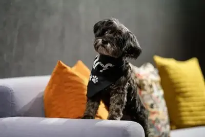 Hôtel Aloft Chelsea