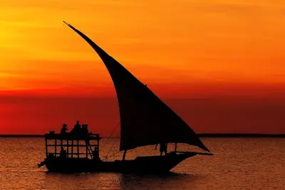 Hôtel The Zanzibari