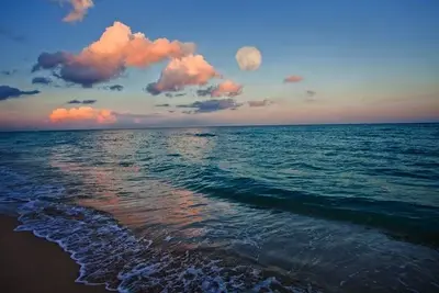 Hôtel Holiday Inn Miami Beach Oceanfront