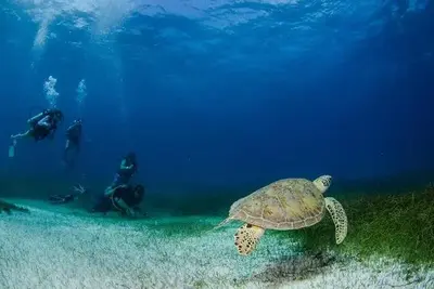 Hôtel Akumal Natura