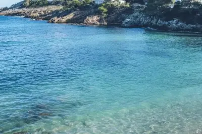 Hôtel Iberostar Pinos Park