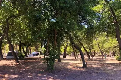 Hôtel Camping Dolce Vita