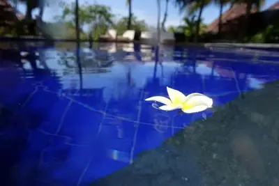 Hôtel Liberty Dive Resort