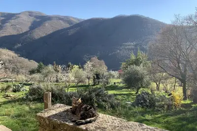 Image de Between the forest of wonders and Florence farmhouse from the 1200s