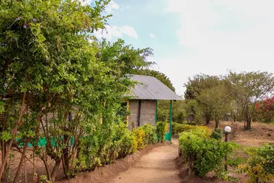 Image de Mara Forest camp