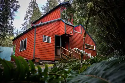 Image de Nature's Escape! Cozy Remodeled Cabin w/Fireplace minutes to Mt. Baker
