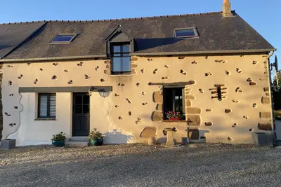 Image de Le Chêne doré
