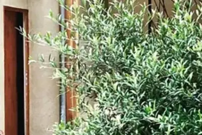Image de Le Patio n°5