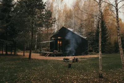 Image de Deer Station. Dream black cabin in the woods.