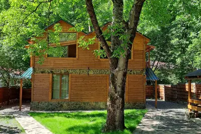 Image de Borjomi in likani. National park of borjom kharagauli. Mountain forest hiking