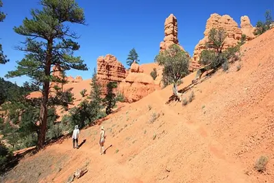 Image de Trek to the top of Brian Head Peak and immerse yourself in the beautiful trails.