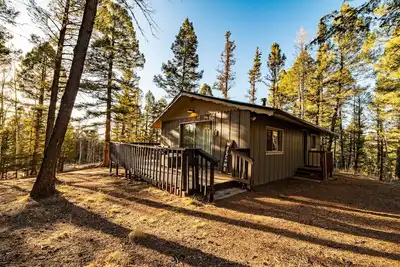 Image de Cozy Winter Cabin! On 1 Acre w Wood Burning Fireplace and Dark Skies!