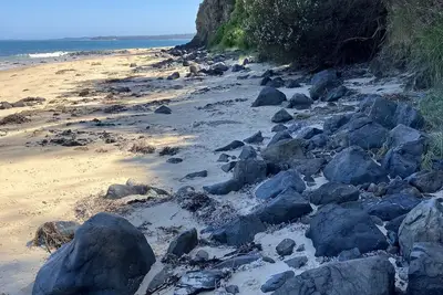 Image de 5 minute walk to Merricks Beach from comfortable beach shack