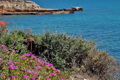 Image de Homerez - Appartement à Vinaròs, vue mer