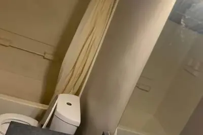 Image de Airport Oasis