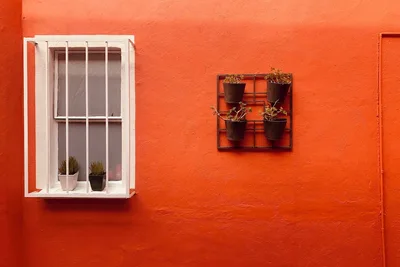 Image de Villa Colonial Centro de Coyoacan Casa Para 12 Personas Ambiente Familiar