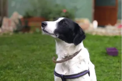 Image de La Casa del Hornero, Tiny House Sostenible Para 2 Personas y Apta Para Mascota