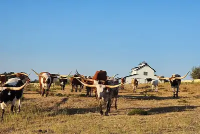 Image de Cowboy Up - Luxury Waterfront Ranch Villa at Twin Canyons Longhorn Ranch