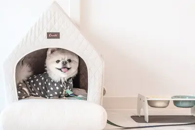 Image de Gyeongju Lineview Poolvilla