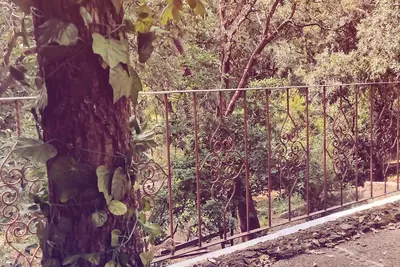Image de Las Casitas en Tepoz Desconéctate y Reconecta en Armonía