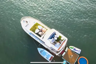 Image de 50’ Bertram Luxury Yacht Ready for Fun with Family & Friends!