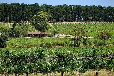 Image de Picturesque Vineyard Farmhouse Nestled on 40 Acres