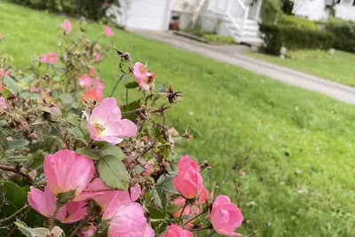 Image de Newport’s garden house near beach. Convenient