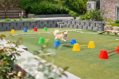 Image de Gapyeong Manwol Aegyeon Pool Glamping