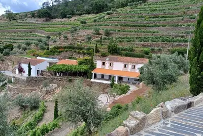 Image de No Coração do Douro, Entre o Pinhão e Favaios, um Espaço de paz e Serenidade