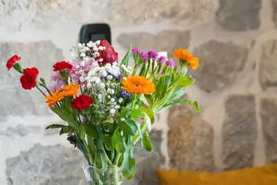 Image de Captain`s Guesthouse welcomed guests from 2011.